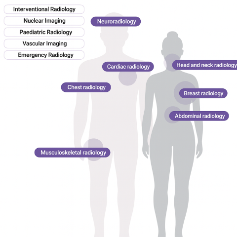 Medical subspecialities