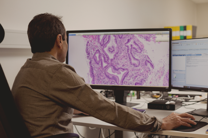 largest European network of pathologists at your fingertips
